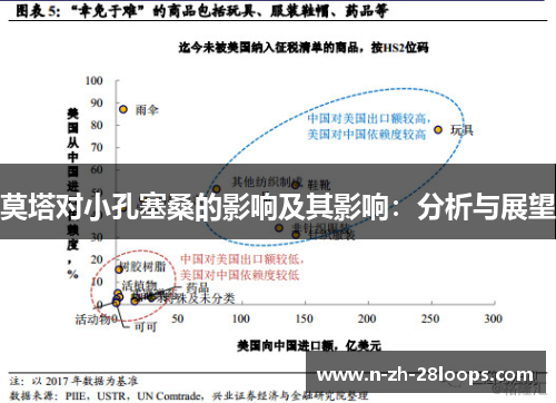 莫塔对小孔塞桑的影响及其影响：分析与展望